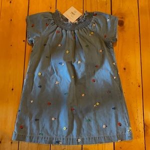 Hanna Andersson denim and flower dress